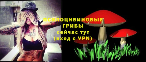 mdma Горняк