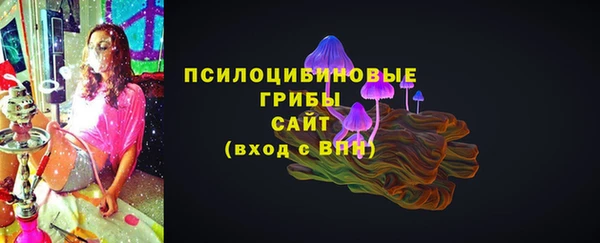 mdma Горняк