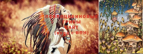 mdma Горняк
