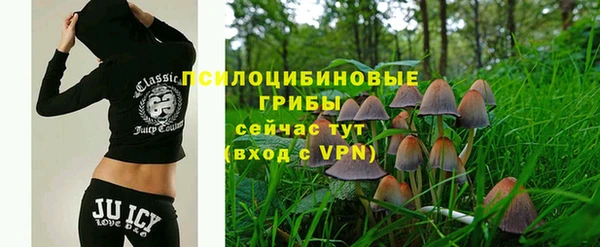 прущие крисы Горнозаводск